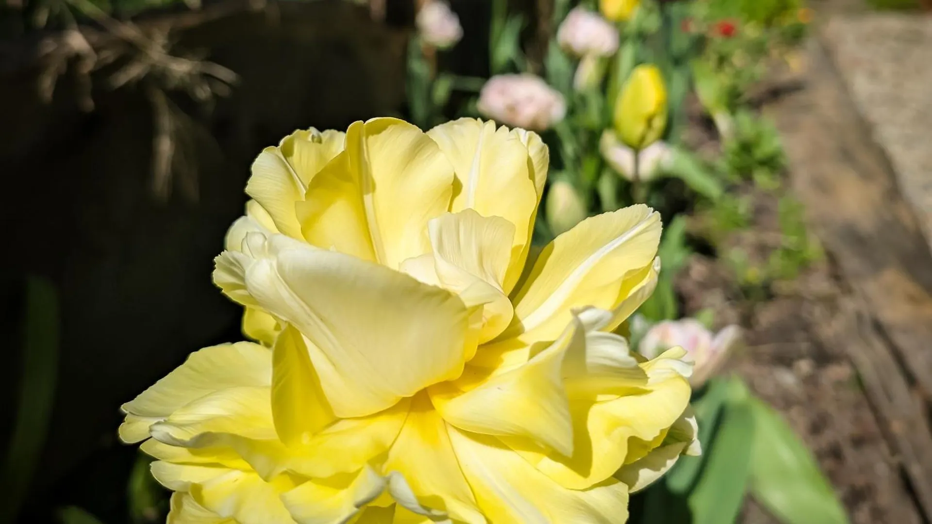 Nettledown Farms Bed & Breakfast Fulford Harbour Kanada